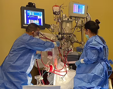 Talleres de Perfusión y simulaciones de alta fidelidad