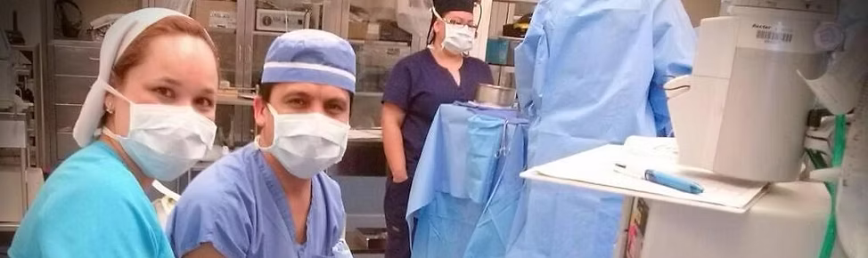 8d3bc5_fd6645c105914737a259258a85eed5e0~mv2